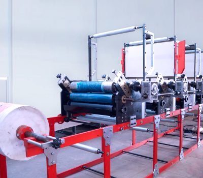 REEL TO REEL FLEXO PRINTING MACHINE